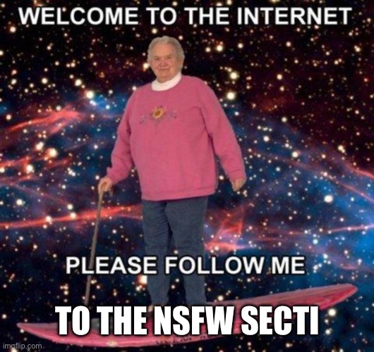 Welcome to the internet | TO THE NSFW SECTION | image tagged in welcome to the internet | made w/ Imgflip meme maker