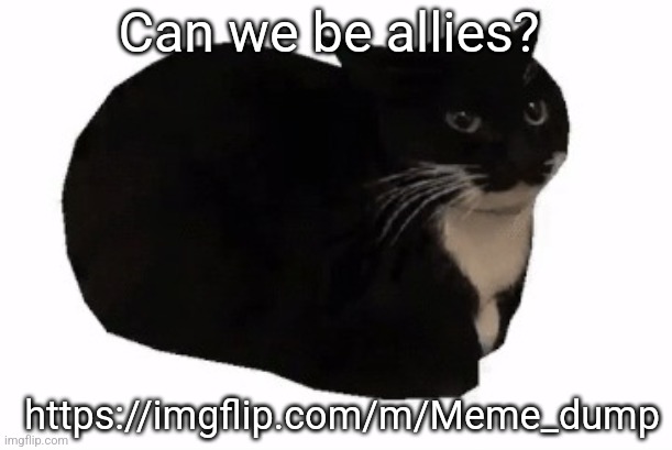https://imgflip.com/m/Meme_dump | Can we be allies? https://imgflip.com/m/Meme_dump | image tagged in maxwell the cat | made w/ Imgflip meme maker