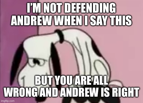 The snoops | I’M NOT DEFENDING ANDREW WHEN I SAY THIS; BUT YOU ARE ALL WRONG AND ANDREW IS RIGHT | image tagged in the snoops | made w/ Imgflip meme maker