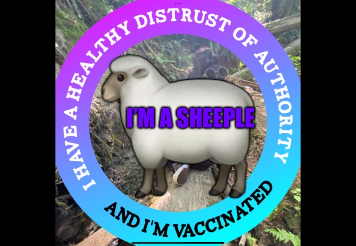 New Age Sheeple | 🐑; I’M A SHEEPLE | image tagged in new age sheeple,new age,sheeple,covid vaccine,covid 19,simulation | made w/ Imgflip meme maker
