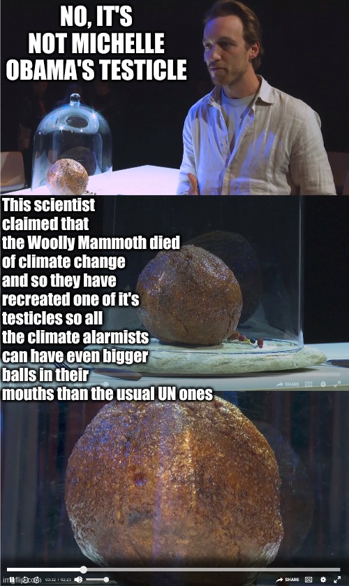 Yes He said they died of Climate Change | NO, IT'S NOT MICHELLE OBAMA'S TESTICLE; This scientist claimed that the Woolly Mammoth died of climate change and so they have recreated one of it's testicles so all the climate alarmists can have even bigger balls in their mouths than the usual UN ones | made w/ Imgflip meme maker