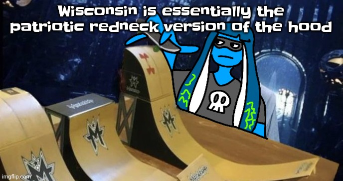 Next thing yk there's a guy dealing drugs in a shootout blasting freebird by lynrd skynrd | Wisconsin is essentially the patriotic redneck version of the hood | image tagged in skatezboard | made w/ Imgflip meme maker