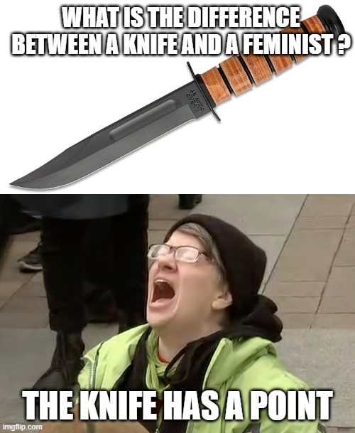 good point | WHAT IS THE DIFFERENCE BETWEEN A KNIFE AND A FEMINIST ? THE KNIFE HAS A POINT | image tagged in anti-trump thing - noooooo | made w/ Imgflip meme maker