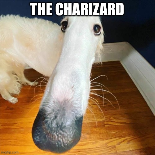 Let me do it for you... | THE CHARIZARD | image tagged in let me do it for you | made w/ Imgflip meme maker