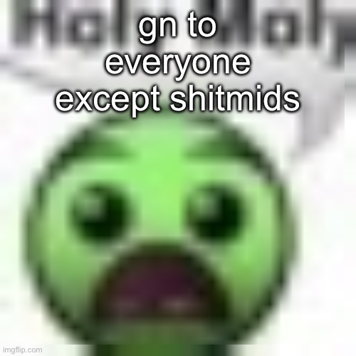 holy moly | gn to everyone except shitmids | image tagged in holy moly | made w/ Imgflip meme maker