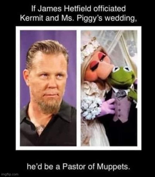 Muppet wedding | image tagged in muppets,kermit the frog,metallica,miss piggy | made w/ Imgflip meme maker