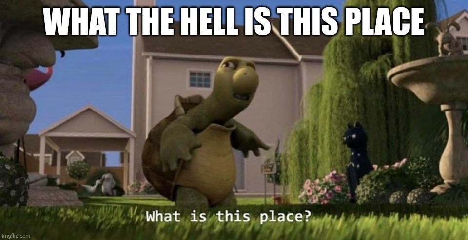 Hi! I'm new here I was told about this site by a friend so what is this place about? | WHAT THE HELL IS THIS PLACE | image tagged in what is this place | made w/ Imgflip meme maker