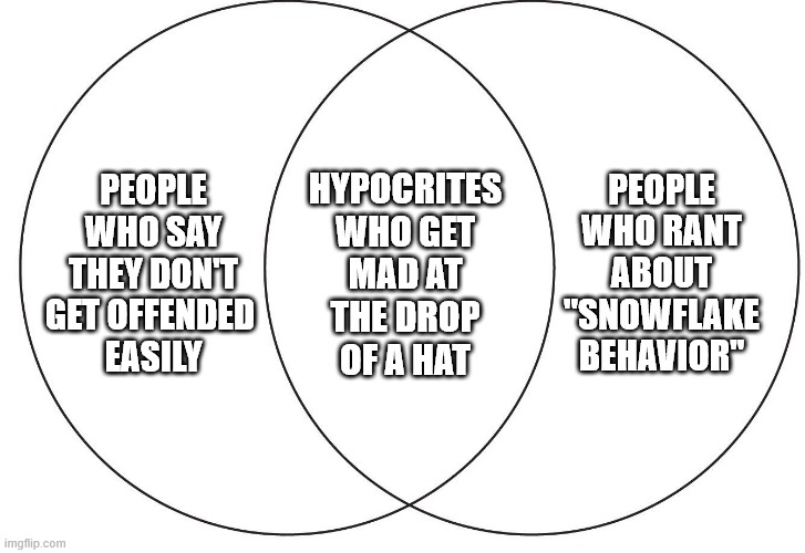 ven diagram | HYPOCRITES WHO GET MAD AT THE DROP OF A HAT; PEOPLE WHO RANT ABOUT "SNOWFLAKE BEHAVIOR"; PEOPLE WHO SAY THEY DON'T GET OFFENDED 
EASILY | image tagged in ven diagram,scumbag republicans,conservative hypocrisy,conservative logic | made w/ Imgflip meme maker