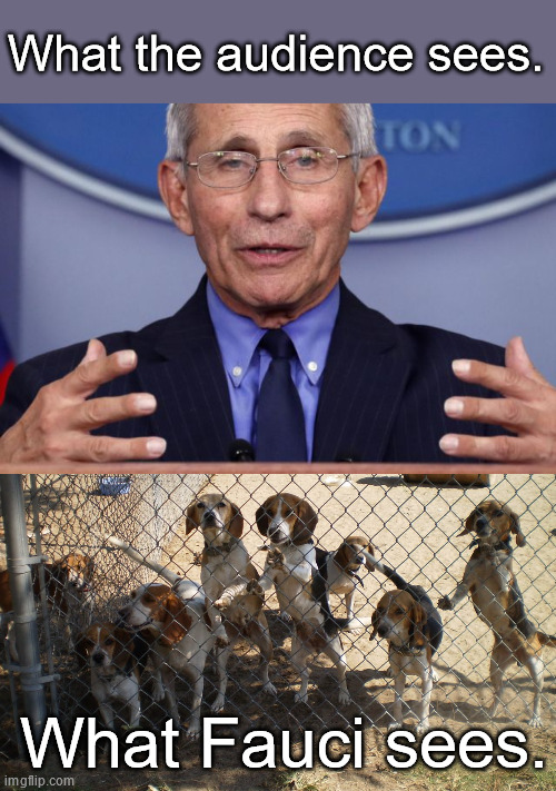 He Knew Everything, and Told Us Nothing | What the audience sees. What Fauci sees. | image tagged in dr anthony fauci | made w/ Imgflip meme maker