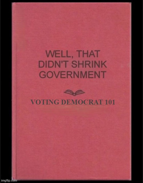 Light Educational Reading | VOTING DEMOCRAT 101 | image tagged in democrats,special education,big government,military industrial complex,deep state,government corruption | made w/ Imgflip meme maker