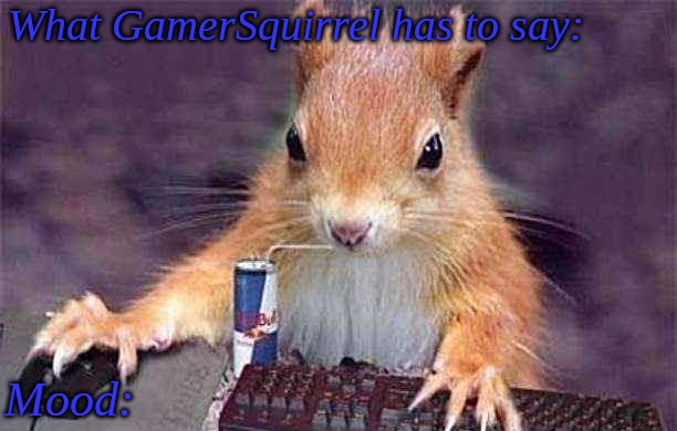 GamerSquirrel's template Blank Meme Template