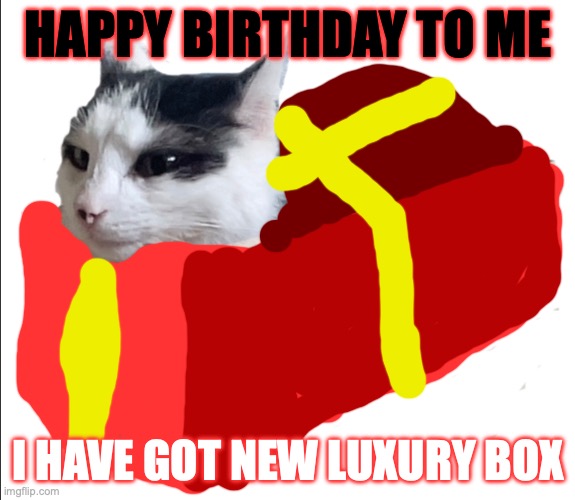 present for Fryccat | HAPPY BIRTHDAY TO ME; I HAVE GOT NEW LUXURY BOX | image tagged in happy birthday,cat | made w/ Imgflip meme maker