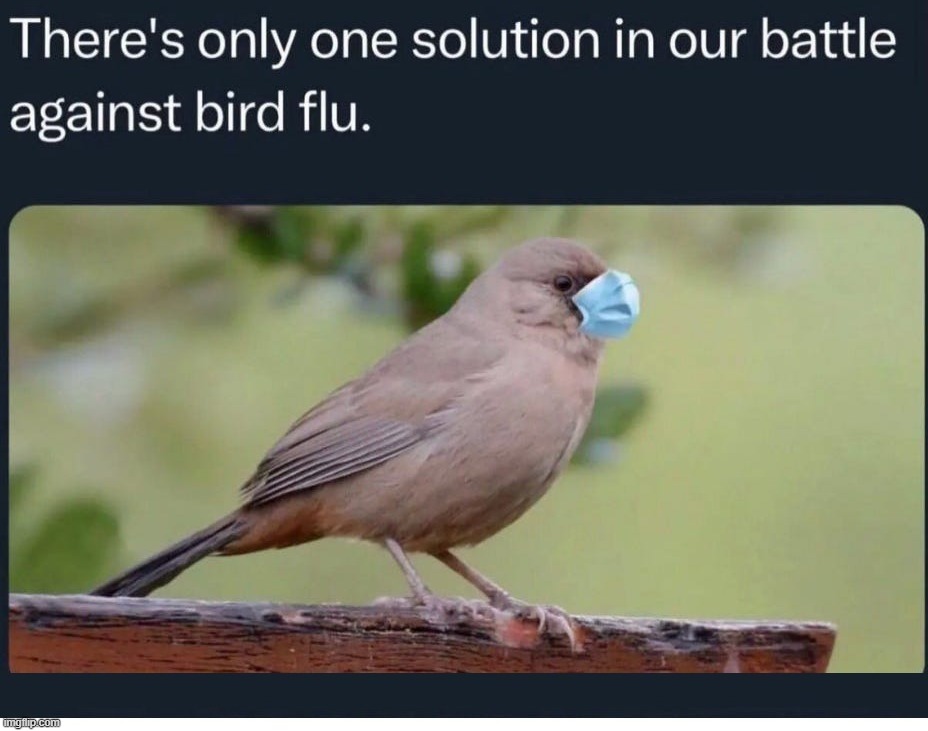 Bird Flu Solution According to the Talking Heads | image tagged in bird flu,modern problems require modern solutions,quackery,dr fauci,uncle sam i want you to mask n95 covid coronavirus,covidiots | made w/ Imgflip meme maker