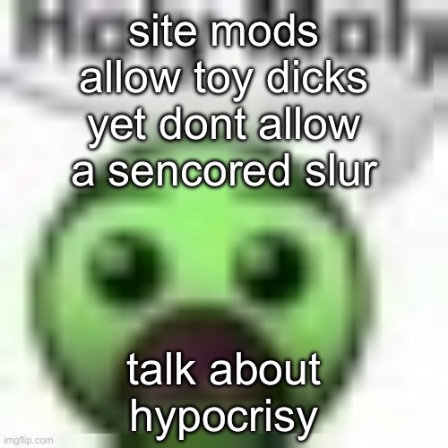 holy moly | site mods allow toy dicks yet dont allow a sencored slur; talk about hypocrisy | image tagged in holy moly | made w/ Imgflip meme maker