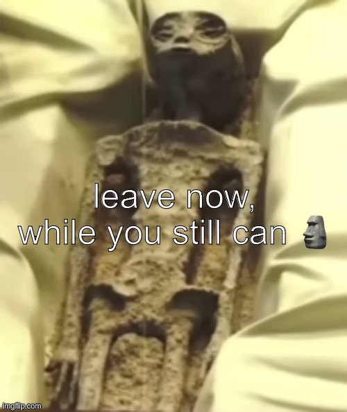 leave now, while you still can ? | image tagged in alien | made w/ Imgflip meme maker