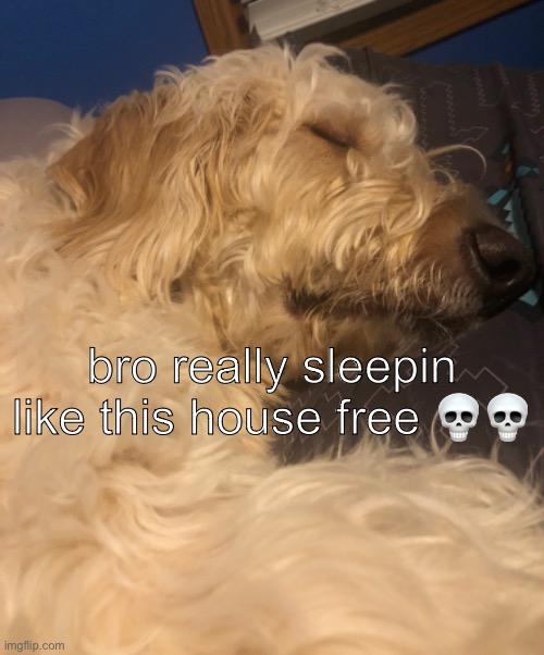 he gotta start payin the bills ☠️ | bro really sleepin like this house free 💀💀 | made w/ Imgflip meme maker