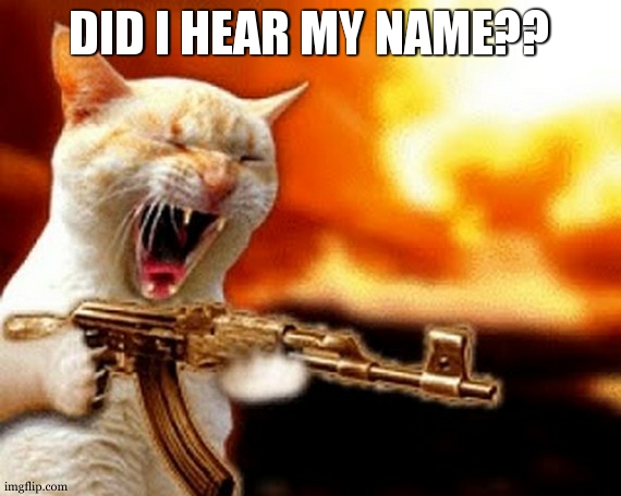 machine gun cat | DID I HEAR MY NAME?? | image tagged in machine gun cat | made w/ Imgflip meme maker