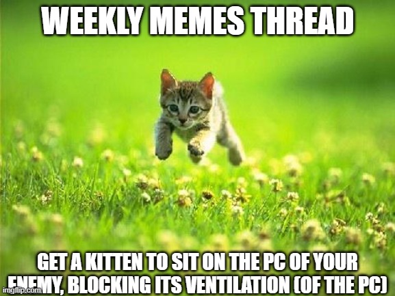 Once again. Weekly memes thread | WEEKLY MEMES THREAD; GET A KITTEN TO SIT ON THE PC OF YOUR ENEMY, BLOCKING ITS VENTILATION (OF THE PC) | image tagged in every time you post a meme god kills a kitten,memes thread,official | made w/ Imgflip meme maker