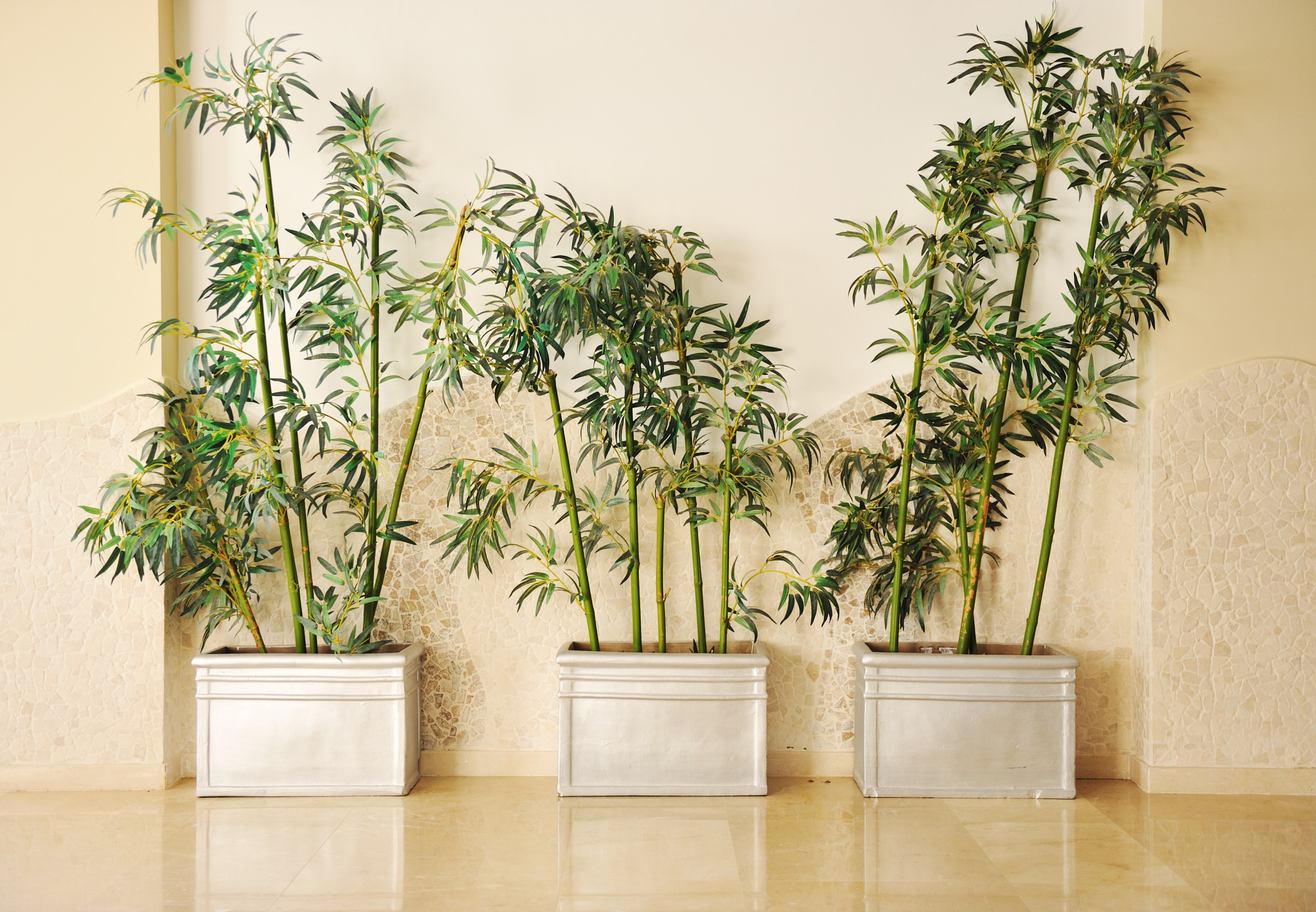 Shutterstock Image #1 Blank Meme Template