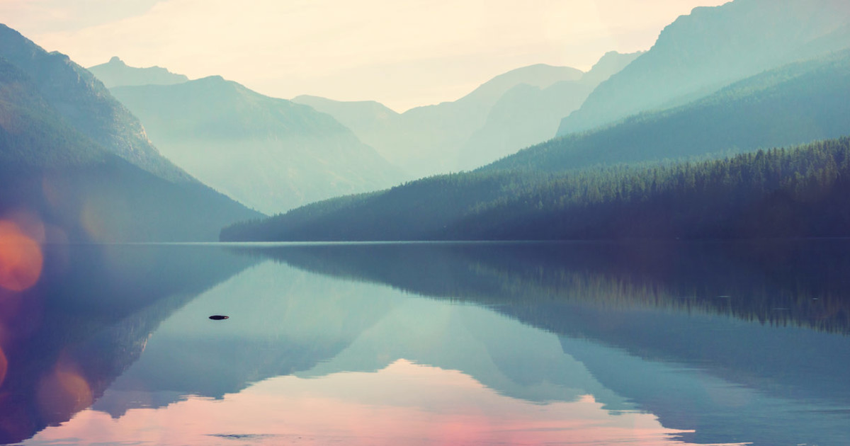 Shutterstock Image #47 Blank Meme Template