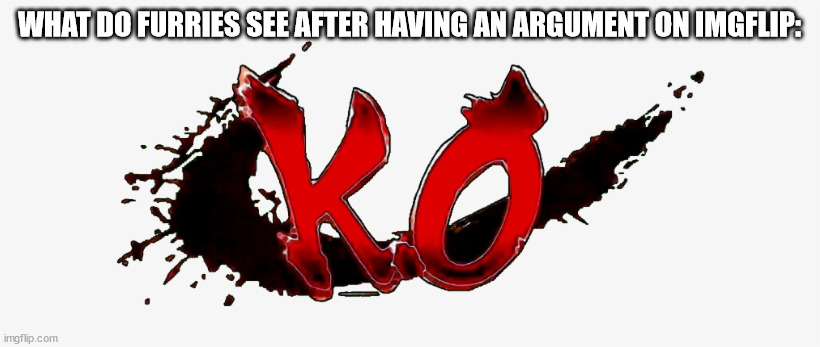 K.O | WHAT DO FURRIES SEE AFTER HAVING AN ARGUMENT ON IMGFLIP: | image tagged in k o | made w/ Imgflip meme maker