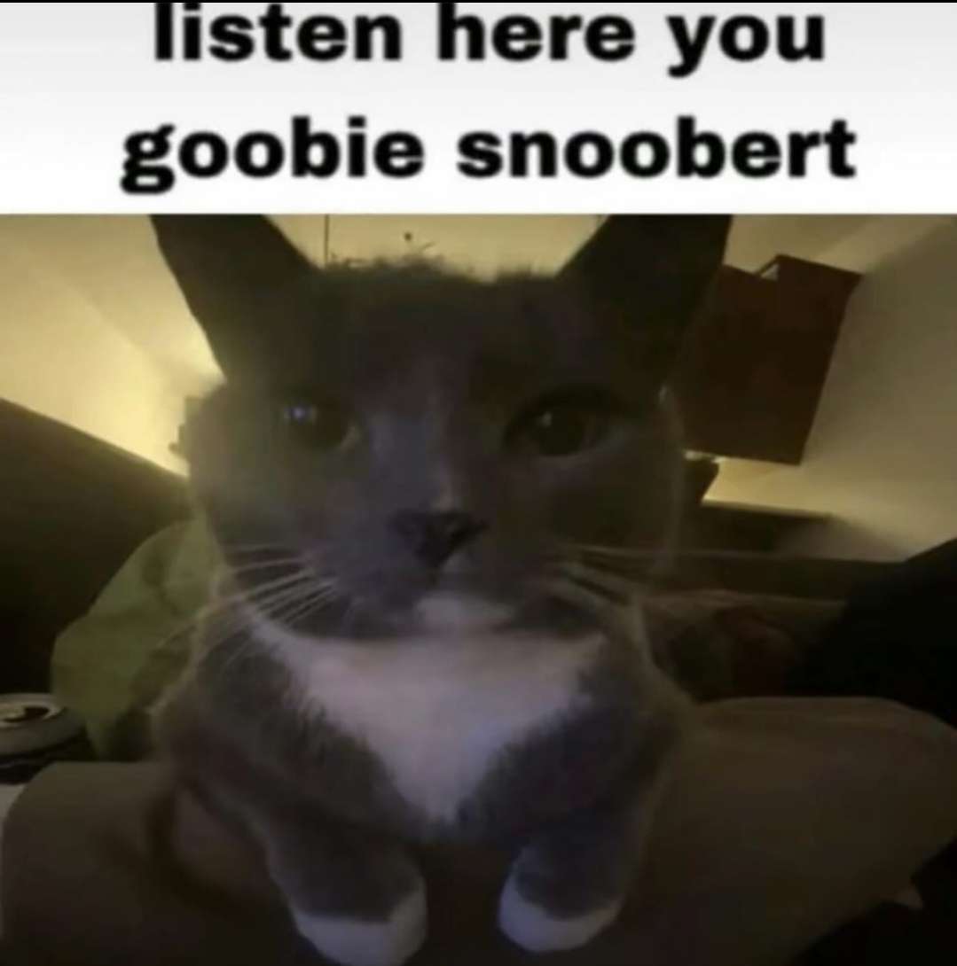 High Quality silly goober Blank Meme Template