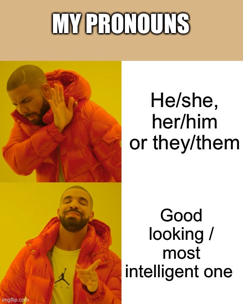 Drake Hotline Bling Meme | He/she, her/him or they/them Good looking / most intelligent one MY PRONOUNS | image tagged in memes,drake hotline bling | made w/ Imgflip meme maker