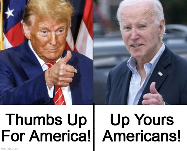 A Strong Patriot vs A Senile Puppet | Thumbs Up
For America! Up Yours
Americans! _______ | image tagged in donald trump,joe biden,america first,america last,choices,political humor | made w/ Imgflip meme maker