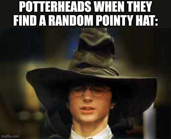 sorting hat | POTTERHEADS WHEN THEY FIND A RANDOM POINTY HAT: | image tagged in harry potter sorting hat,harry potter,hats | made w/ Imgflip meme maker