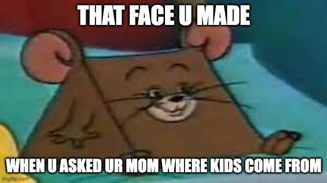 Jerry ate cheese | THAT FACE U MADE; WHEN U ASKED UR MOM WHERE KIDS COME FROM | image tagged in jerry ate cheese | made w/ Imgflip meme maker
