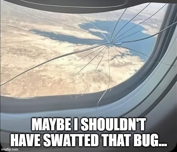 Sucked Out | MAYBE I SHOULDN'T HAVE SWATTED THAT BUG... | image tagged in dark humor | made w/ Imgflip meme maker