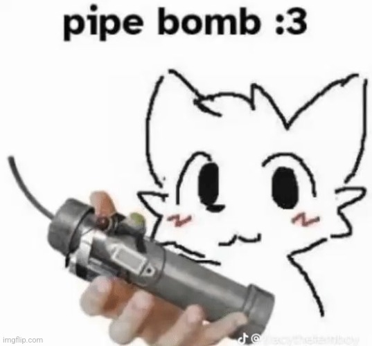 pipe bomb :3 | image tagged in pipe bomb 3 | made w/ Imgflip meme maker