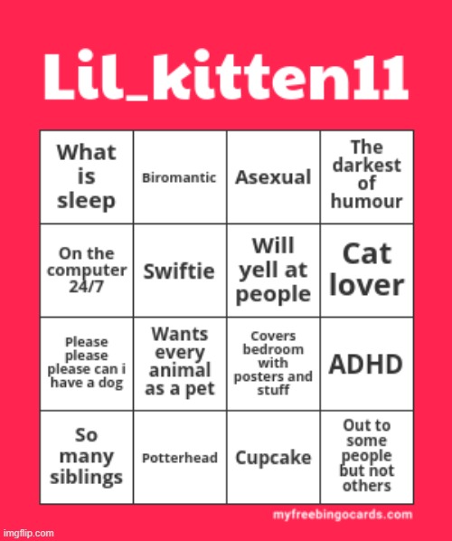 Lil_kitten11 bingo | image tagged in lil_kitten11 bingo | made w/ Imgflip meme maker