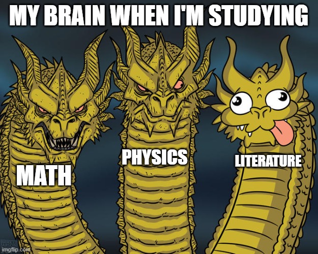 Three-headed Dragon | MY BRAIN WHEN I'M STUDYING; PHYSICS; LITERATURE; MATH | image tagged in three-headed dragon | made w/ Imgflip meme maker
