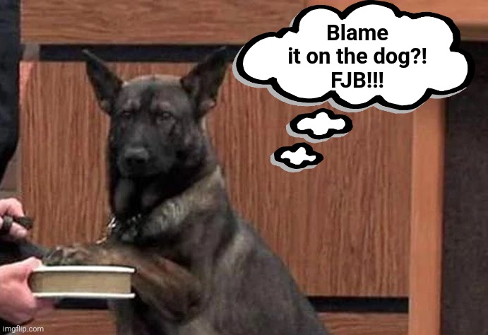 Blame
it on the dog?!
FJB!!! | made w/ Imgflip meme maker