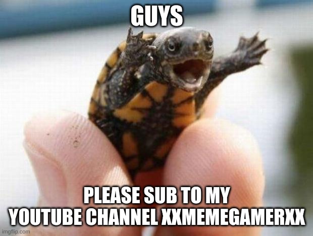 Guys Please Sub to My YT channel XxMemeGamerxX | GUYS; PLEASE SUB TO MY YOUTUBE CHANNEL XXMEMEGAMERXX | image tagged in happy baby turtle | made w/ Imgflip meme maker