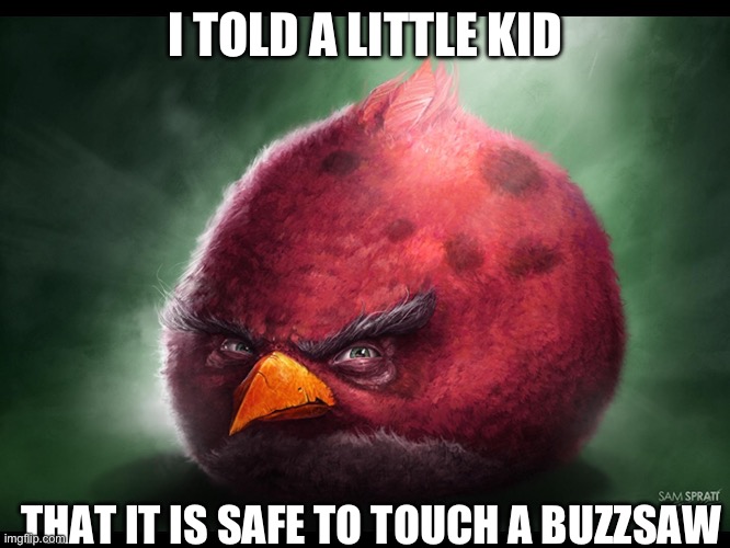 Realistic Angry Bird (big red) | I TOLD A LITTLE KID; THAT IT IS SAFE TO TOUCH A BUZZSAW | image tagged in realistic angry bird big red | made w/ Imgflip meme maker