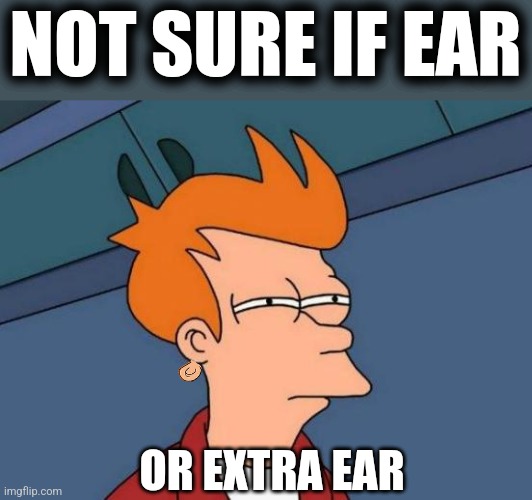 Futurama Fry Meme | NOT SURE IF EAR OR EXTRA EAR | image tagged in memes,futurama fry | made w/ Imgflip meme maker