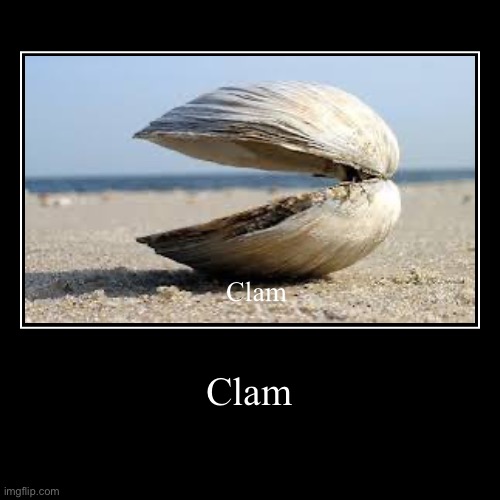 Clam | Clam | Clam | image tagged in funny,demotivationals,clam | made w/ Imgflip demotivational maker