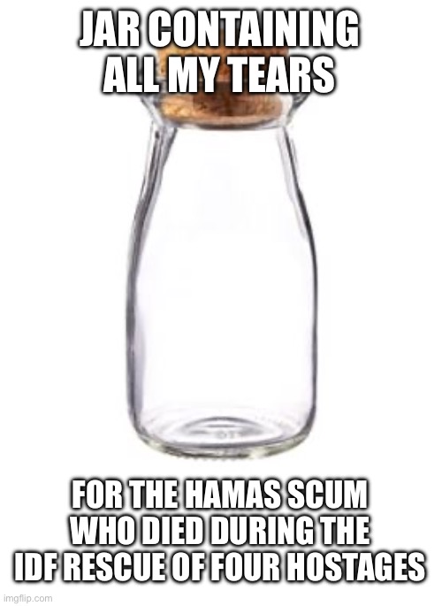 Praise God for the bravery of Israel and willingness to do what was right in spite of world ignorance. | JAR CONTAINING ALL MY TEARS; FOR THE HAMAS SCUM WHO DIED DURING THE IDF RESCUE OF FOUR HOSTAGES | image tagged in empty jar,israel,hamas,hostage | made w/ Imgflip meme maker