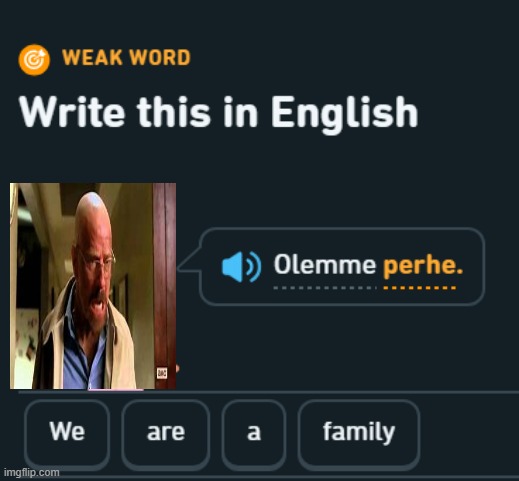 "We're a family!" | image tagged in breaking bad,duolingo | made w/ Imgflip meme maker
