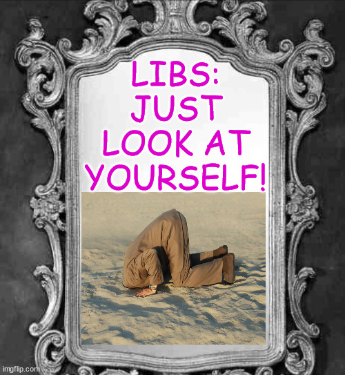 Mirror | LIBS: JUST LOOK AT YOURSELF! | image tagged in mirror | made w/ Imgflip meme maker