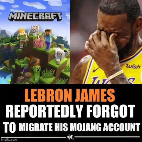 image tagged in memes,lebron james,minecraft | made w/ Imgflip meme maker