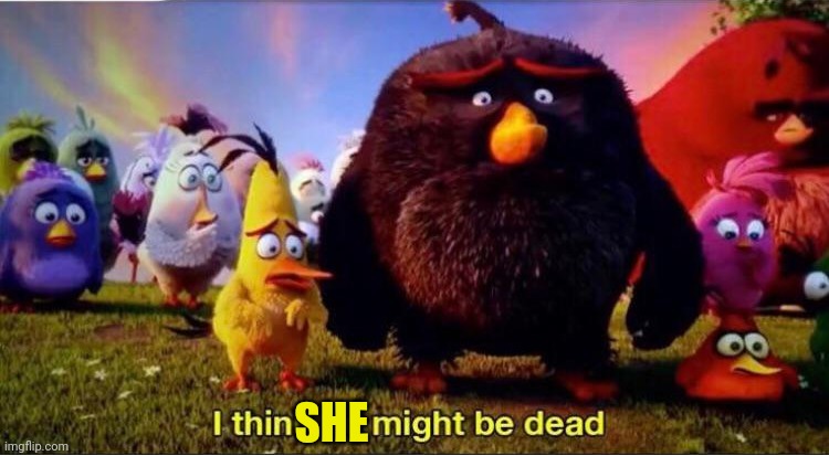 I think he might be dead | SHE | image tagged in i think he might be dead | made w/ Imgflip meme maker