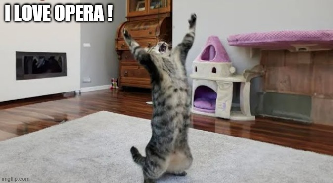 memes by Brad - My cat loves opera music | I LOVE OPERA ! | image tagged in funny,cats,kittens,opera,funny cat memes,humor | made w/ Imgflip meme maker