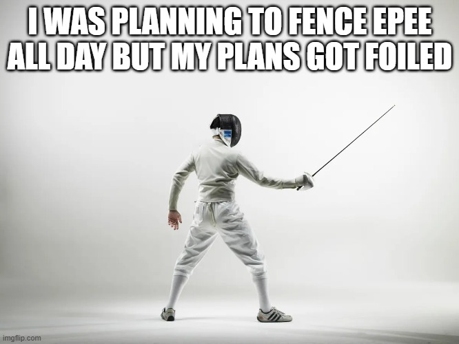 memes by Brad - My fencing plans were foiled - humor | I WAS PLANNING TO FENCE EPEE ALL DAY BUT MY PLANS GOT FOILED | image tagged in funny,sports,sword fight,funny meme,humor | made w/ Imgflip meme maker