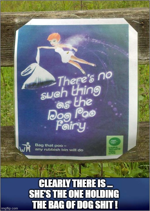 Found This Misleading Sign Today ... | CLEARLY THERE IS ... 
SHE'S THE ONE HOLDING
 THE BAG OF DOG SHIT ! | image tagged in stupid signs,dog poop,fairy,dark humour | made w/ Imgflip meme maker