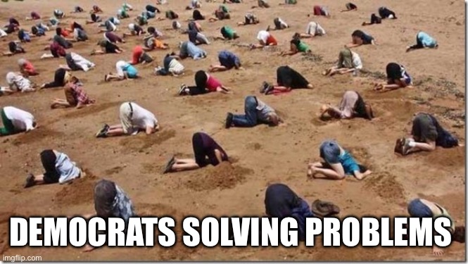 Democrats | DEMOCRATS SOLVING PROBLEMS | image tagged in head in sand,memes,funny memes,drake hotline bling | made w/ Imgflip meme maker