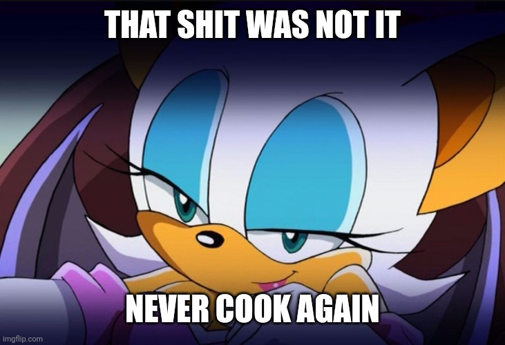Rouge the Bat Sonic Meme | THAT SHIT WAS NOT IT NEVER COOK AGAIN | image tagged in rouge the bat sonic meme | made w/ Imgflip meme maker