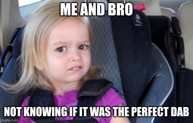me and bro | ME AND BRO; NOT KNOWING IF IT WAS THE PERFECT DAB | image tagged in side eyeing chloe | made w/ Imgflip meme maker